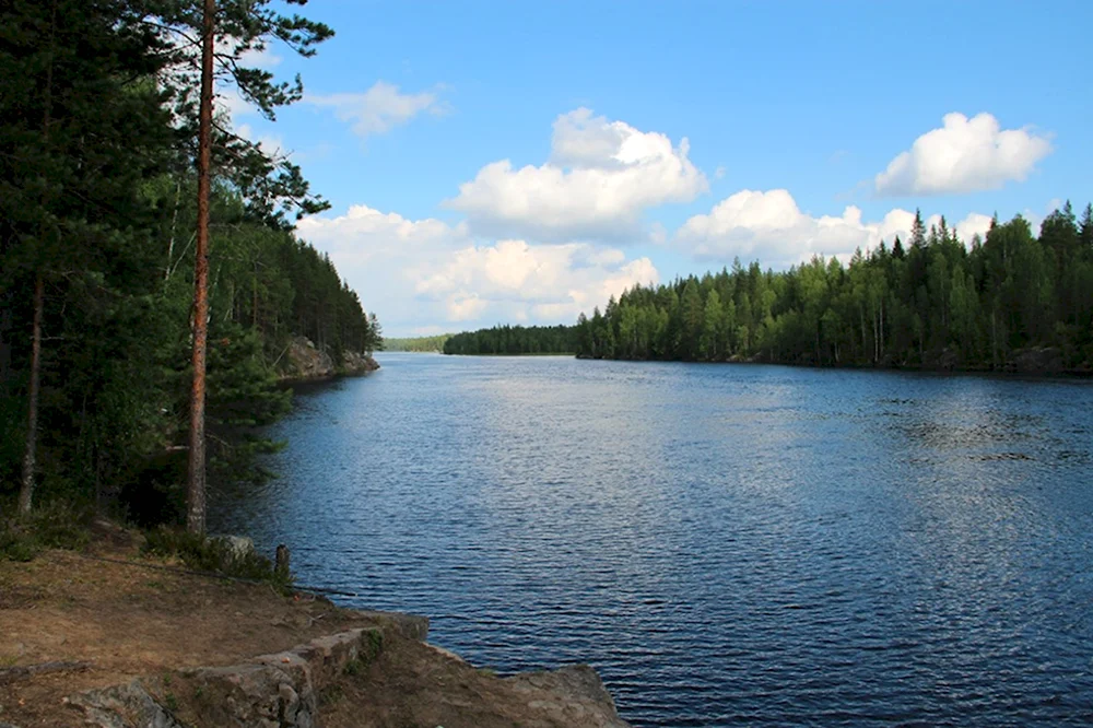 Озеро Кивиярви Карелия