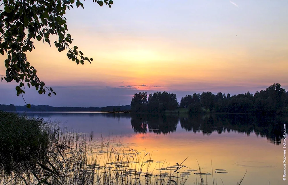 Озеро Перетно Окуловский район