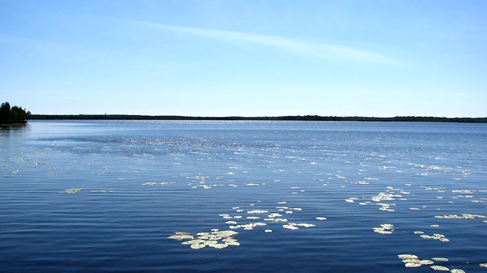 Озеро Плотово Нижегородской области