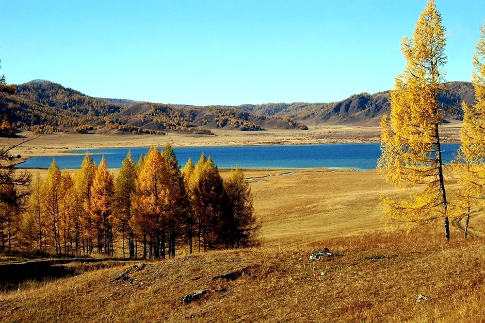 Озеро Теньгинское Алтай