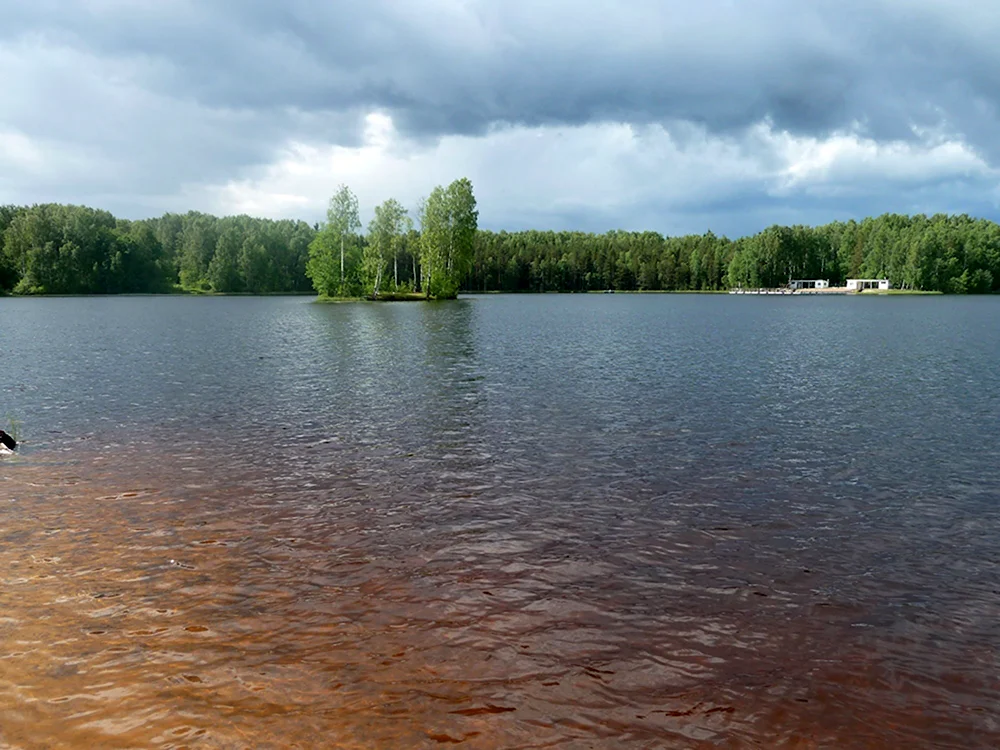 Парк Осиновая роща Санкт-Петербург озеро