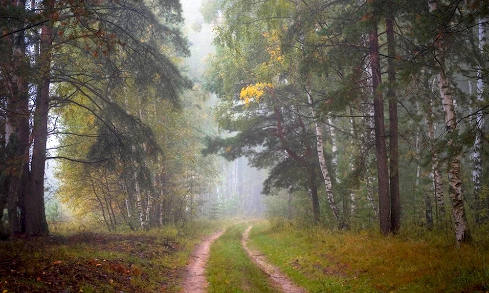 Пейзаж плохого качества