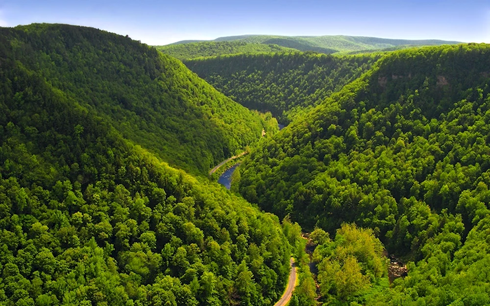 Pine Creek gorge Пенсильвания