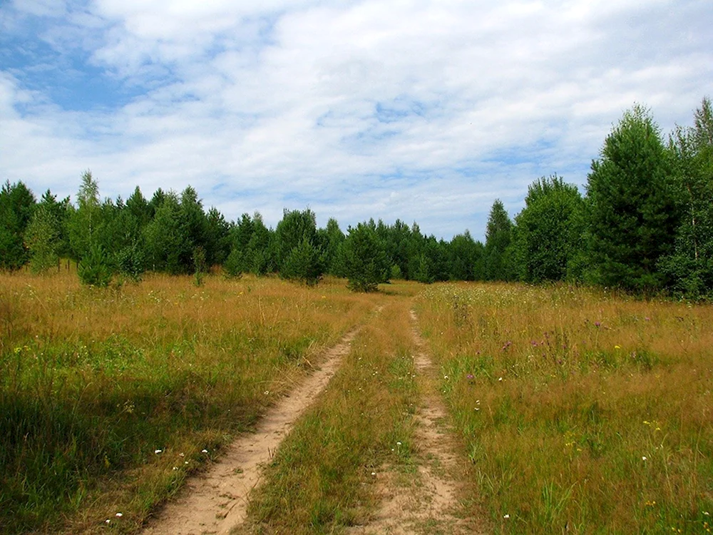 Поле Калужская область