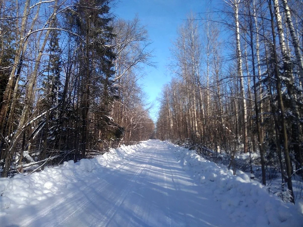 Пос Солнечный Йошкар Ола