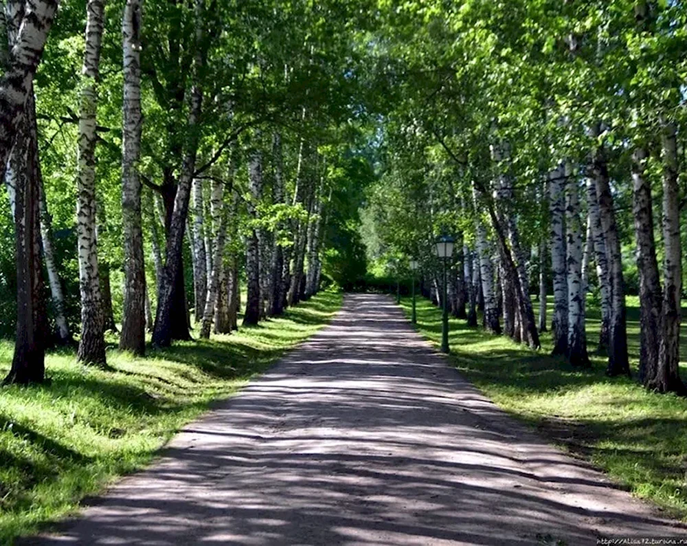 Прешпект Ясная Поляна