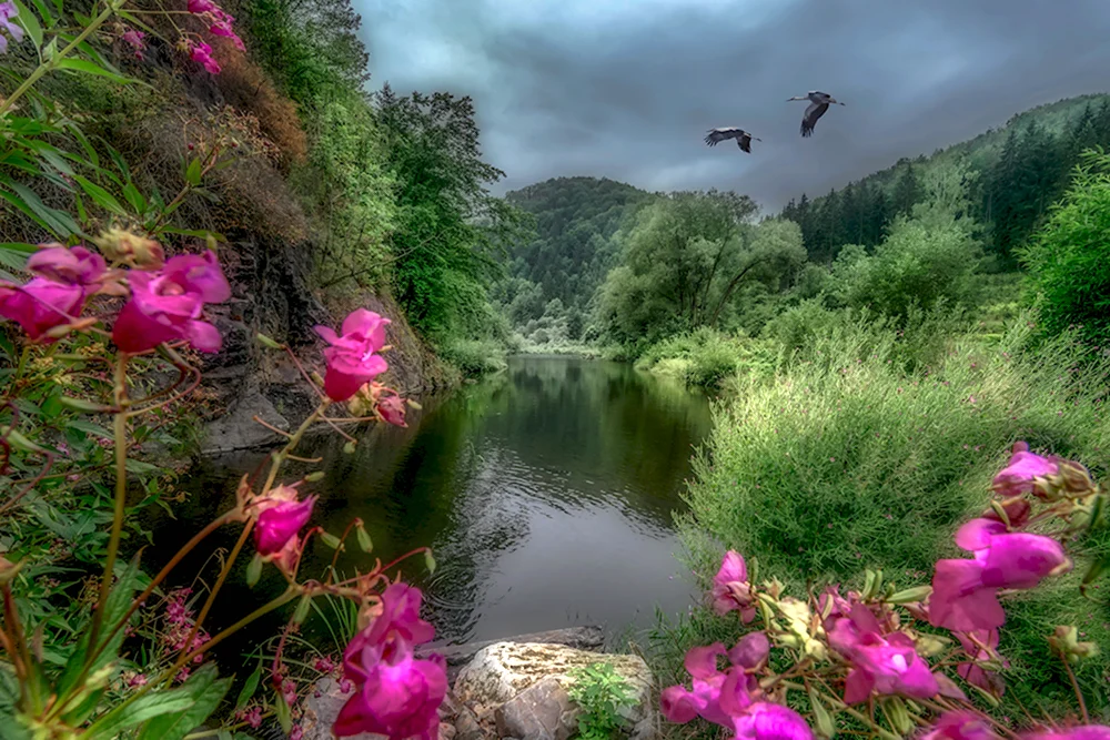 Природа