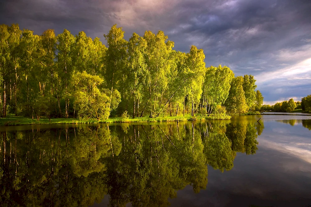 Природа Подмосковья
