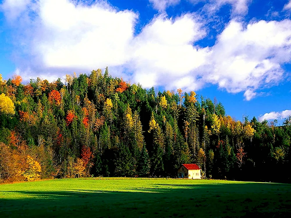 Природа в картинках