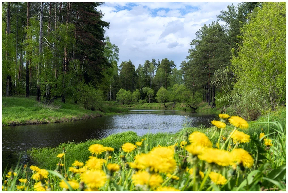 Природа весенней Бугульмы