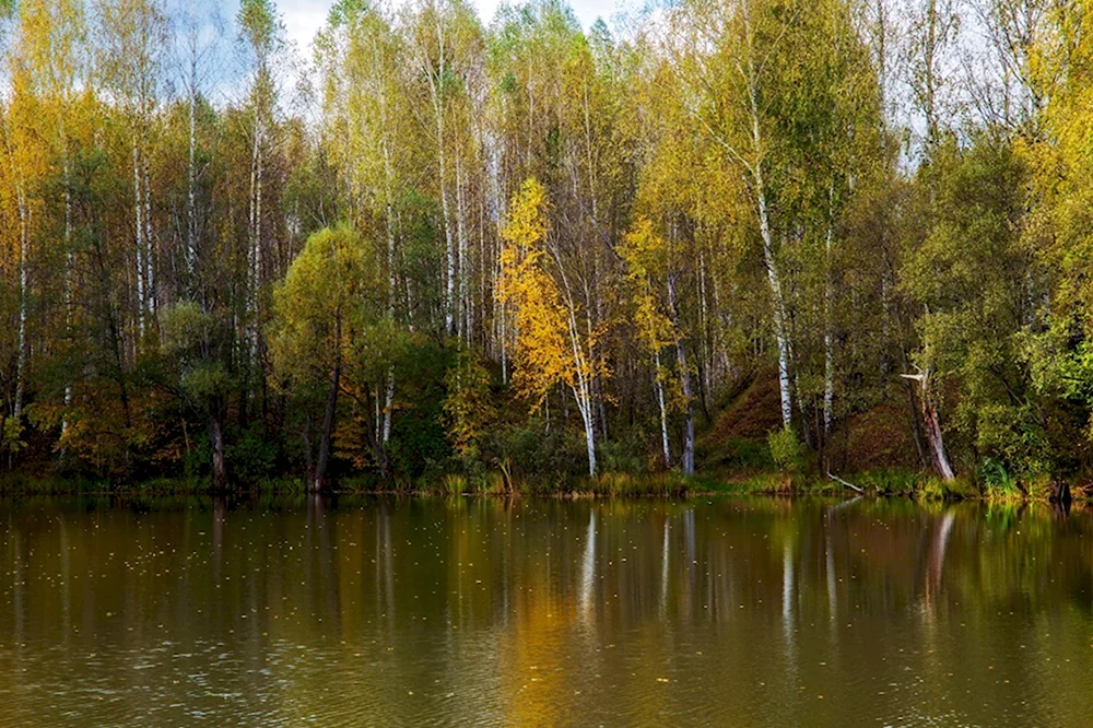 Раифское озеро Волжско Камский заповедник