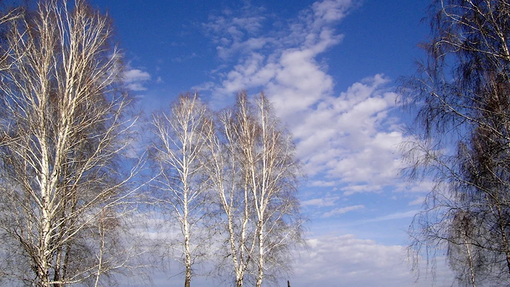 Ранняя Весна