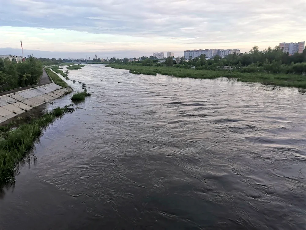 Река Читинка в Чите