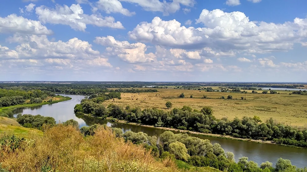 Река Донстепи Донские