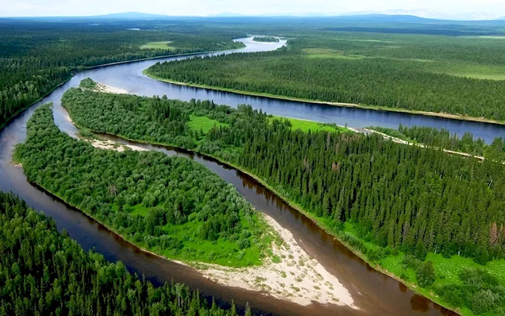 Река Ижма Республика Коми