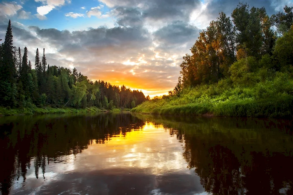 Река Кильмезь Удмуртия
