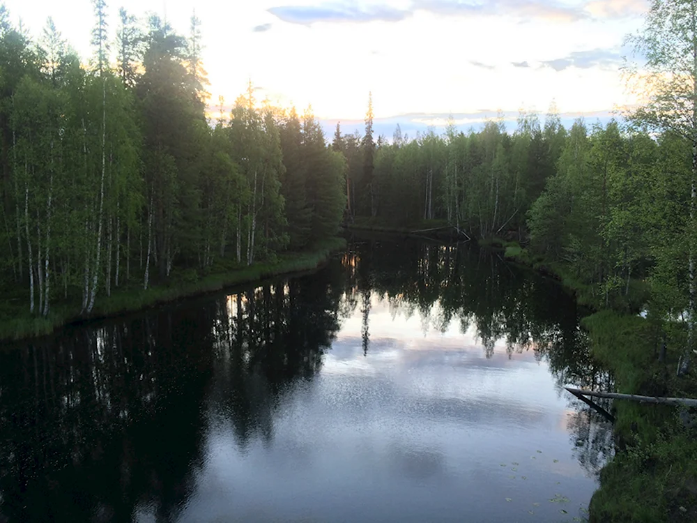 Река летняя Кемский район
