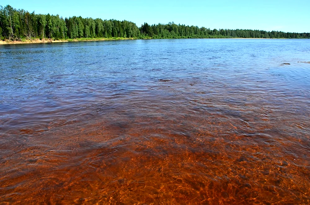 Река Мезень