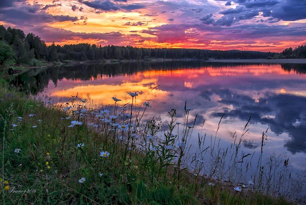 Река Мезень
