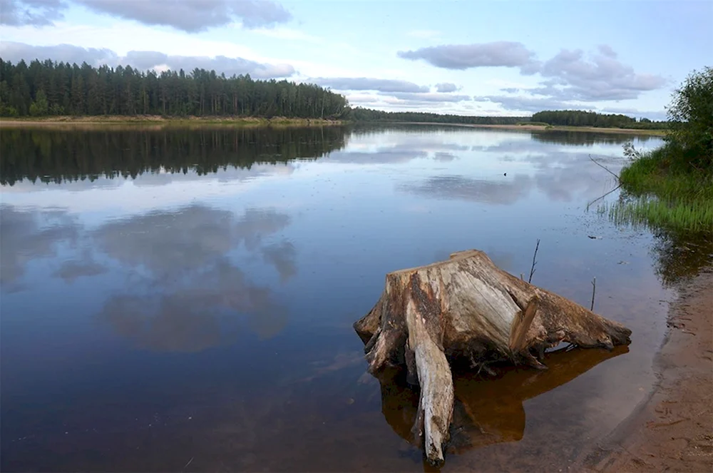 Река Мезень Республика Коми