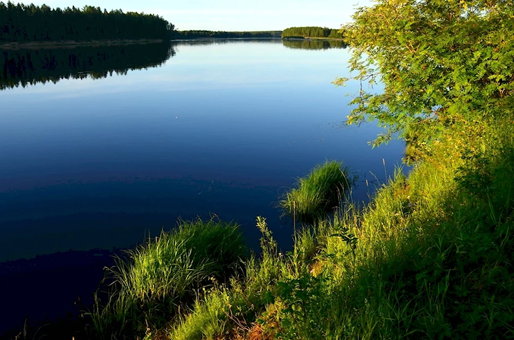 Река Мезень Республика Коми