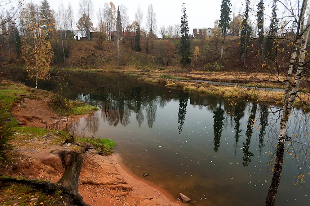 Река Оредеж Ленинградская область осенью