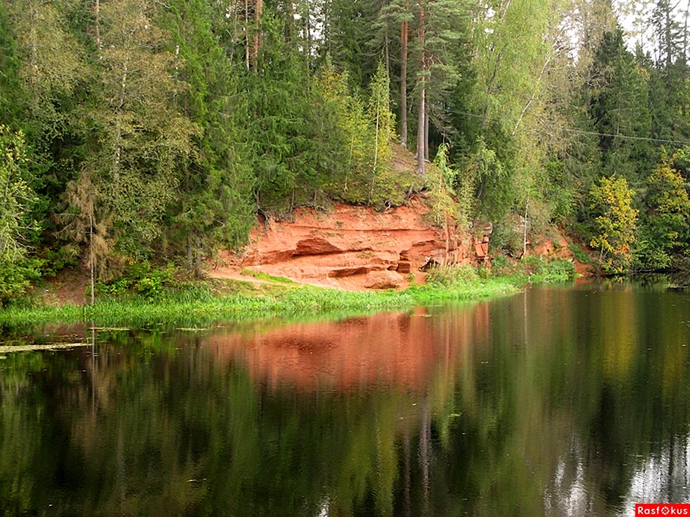 Река Оредеж Рождествено