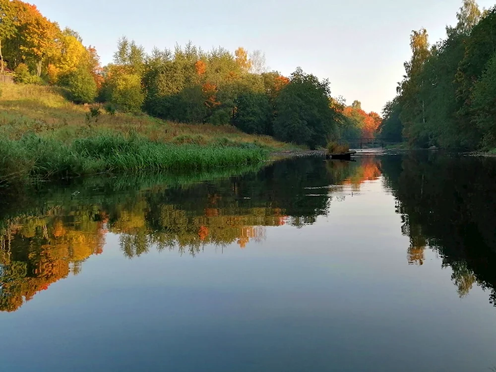 Река Оредеж рыбалка