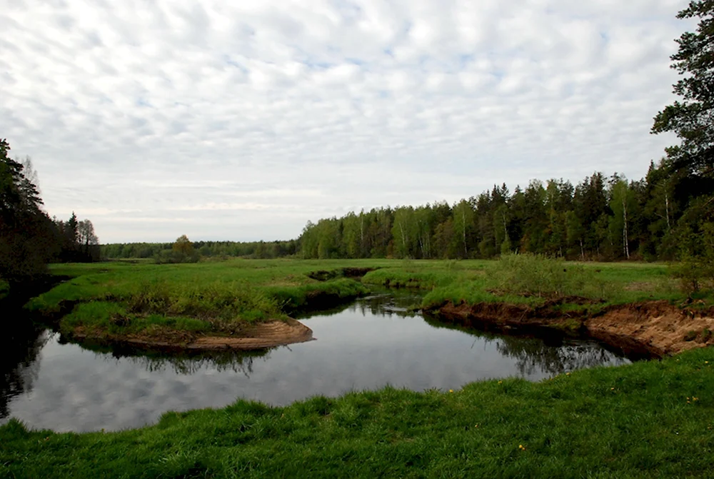 Река поле в Шатуре