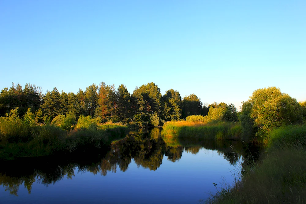 Река поле в Шатуре