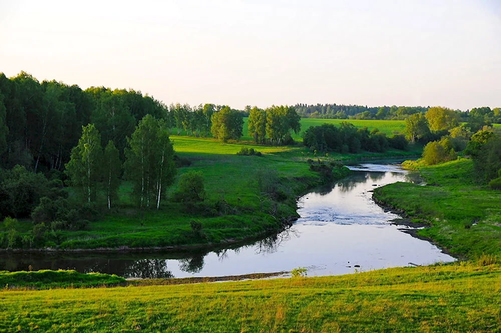 Река Руза Московская область