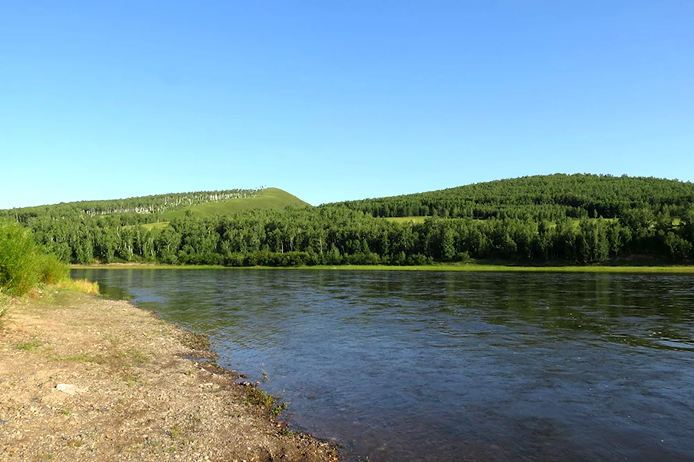 Река Шилка