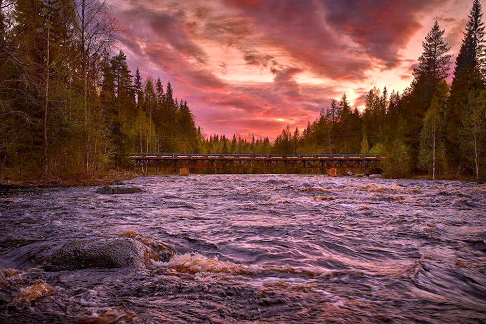 Река Шуя Карелия