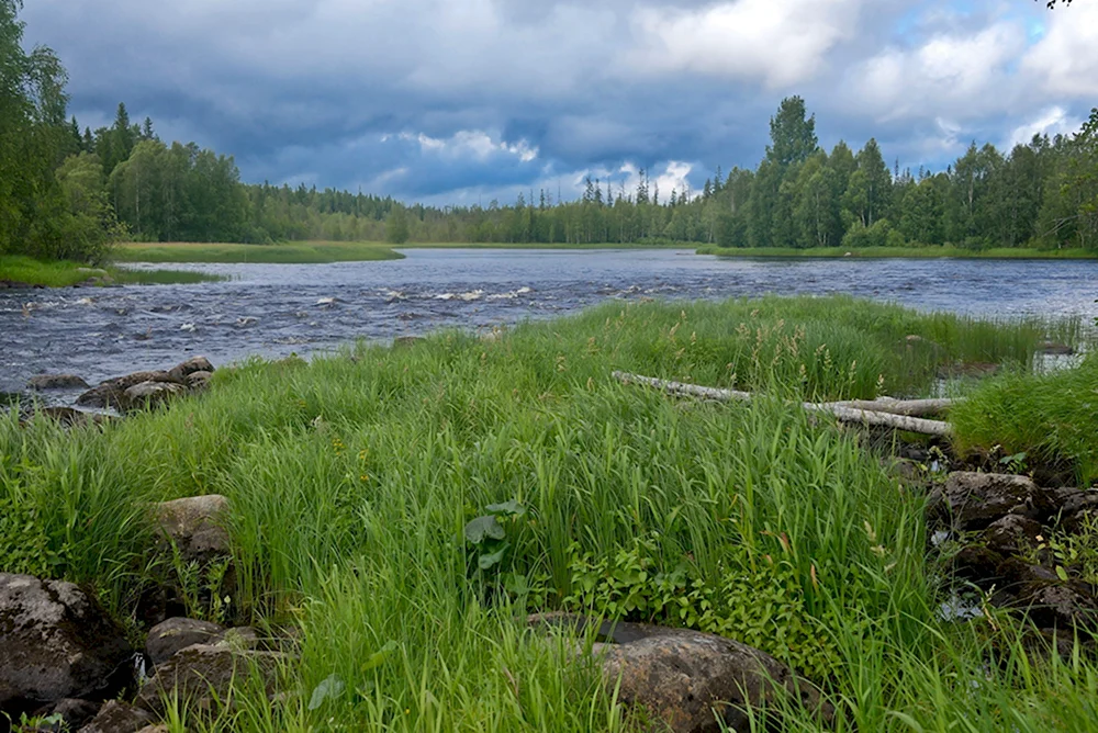 Река суна Карелия