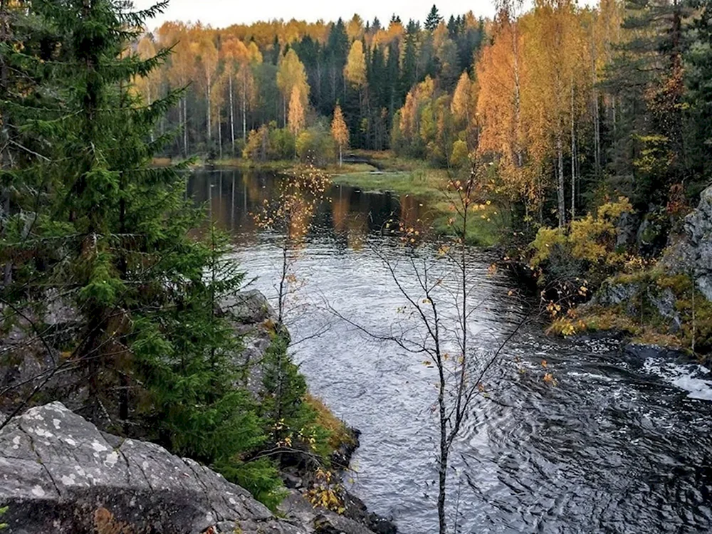 Река суна Карелия