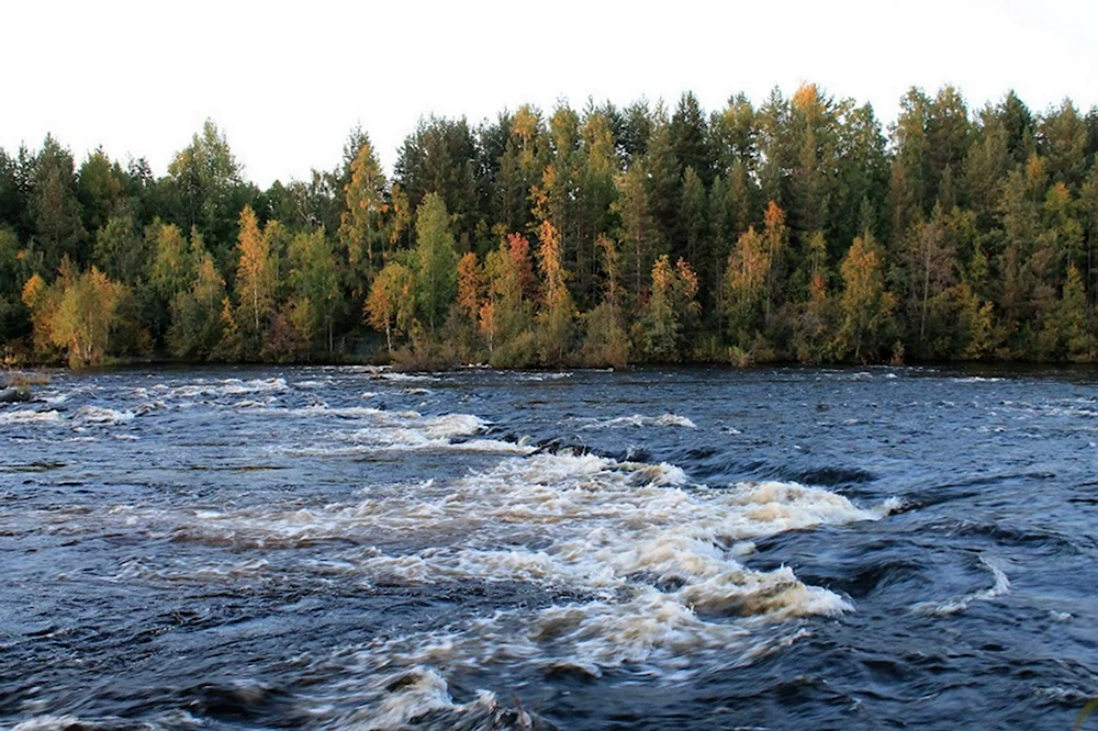 Река Уница