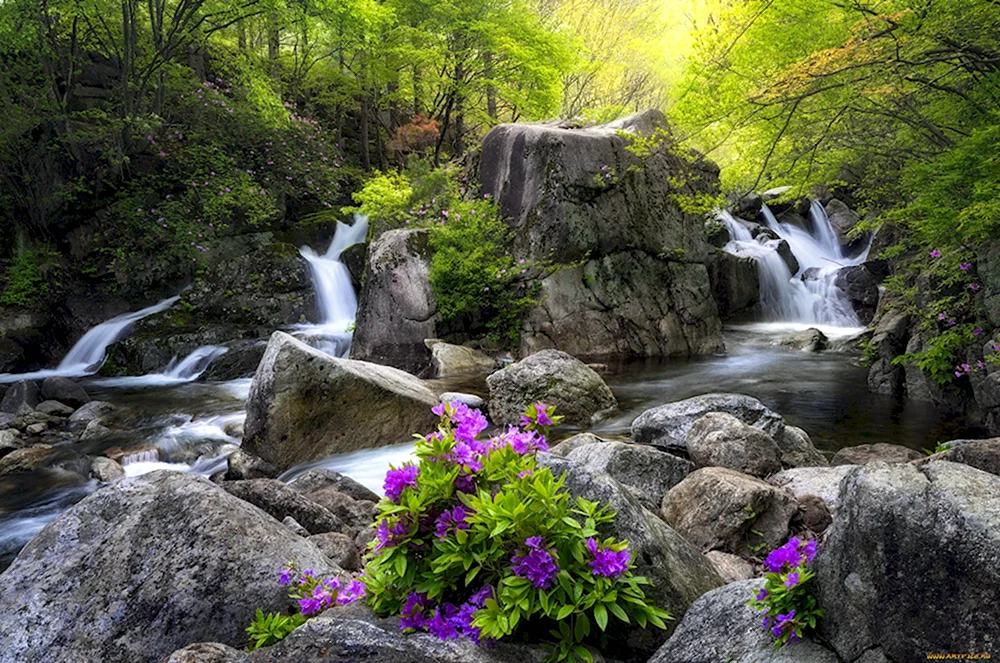 Родник водопад Горная река