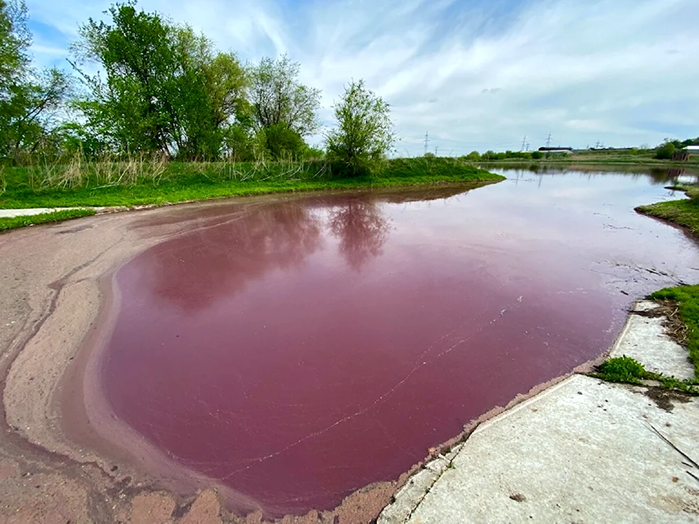 Розовое озеро Самара