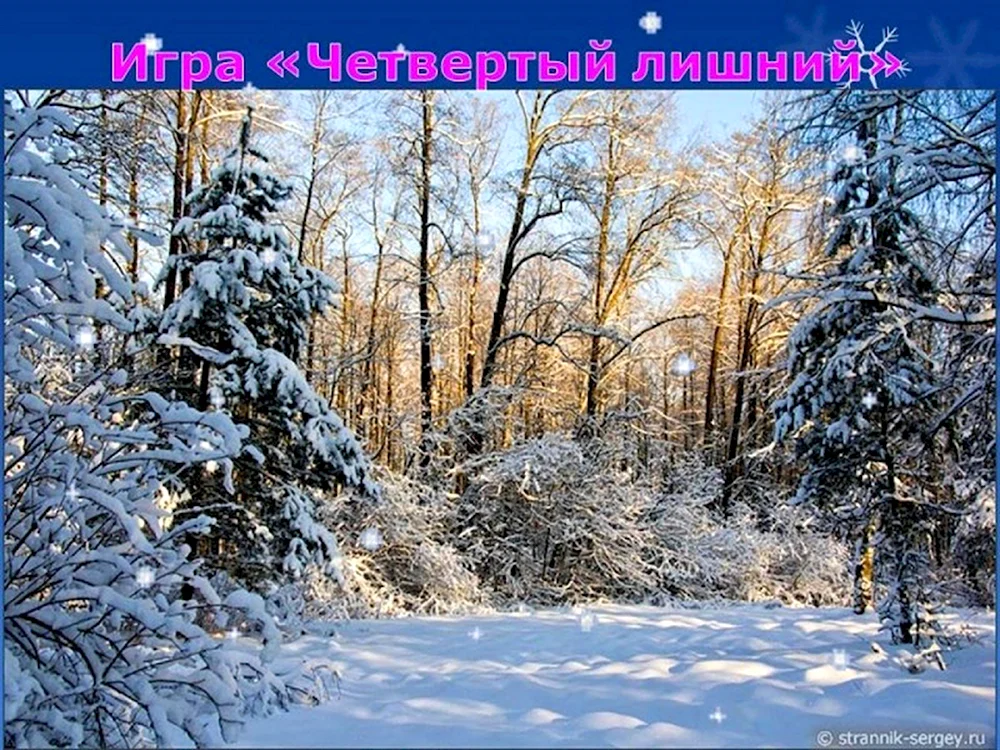 Сарапул лес зимой