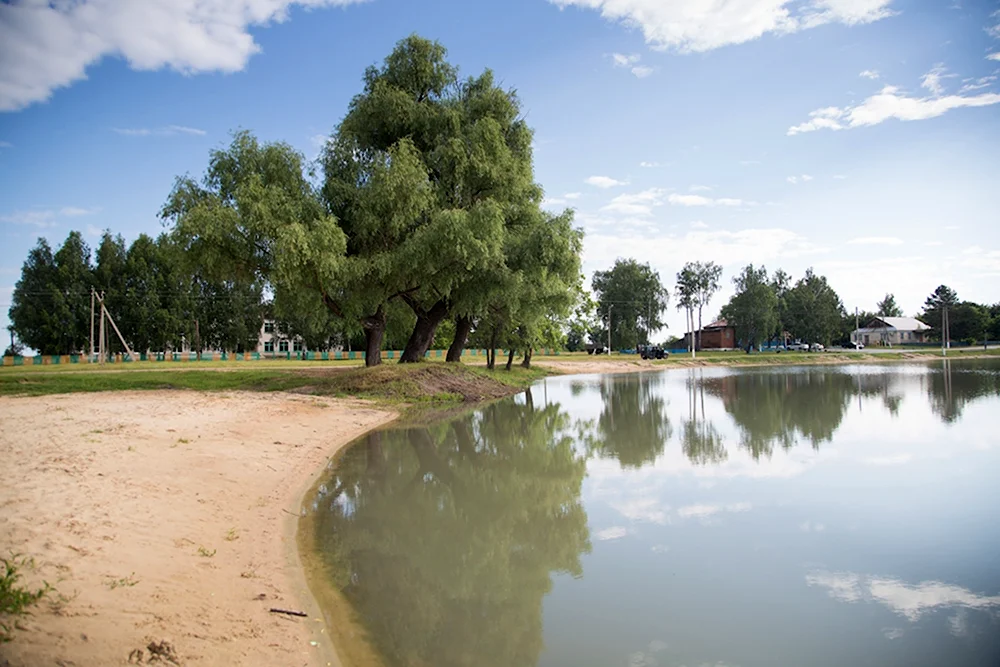 Село красная Балтия Кузоватовского района