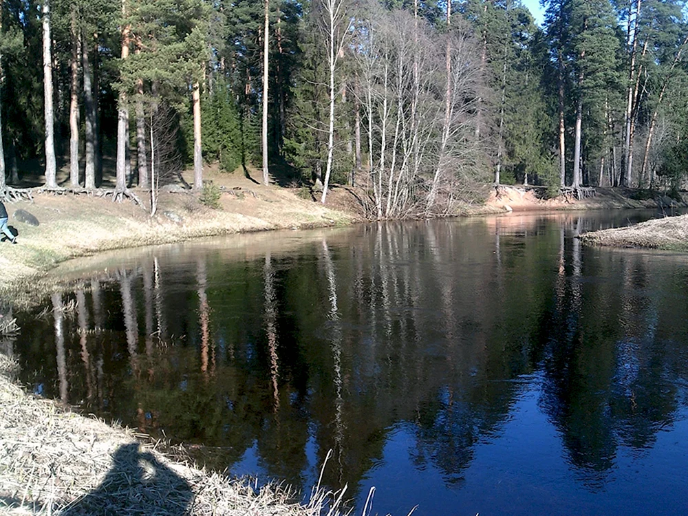 Сиверская Оредеж