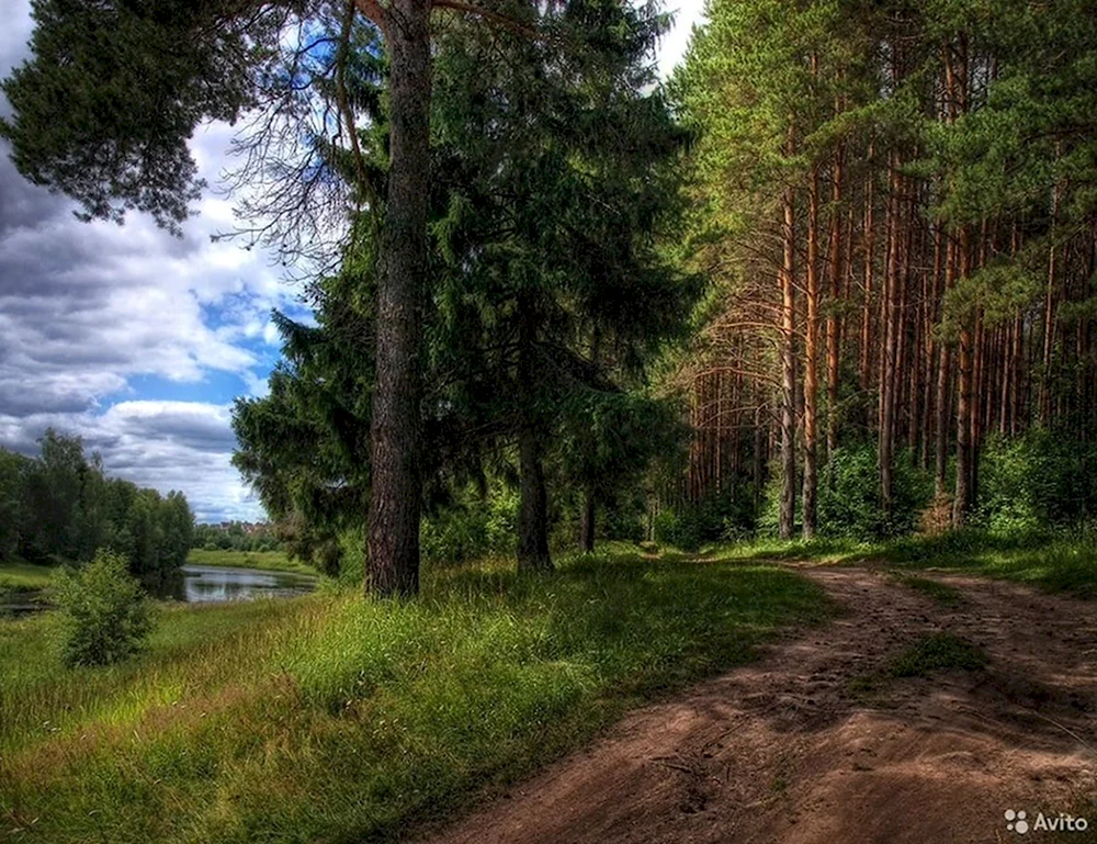 Сосновый Бор Борский район