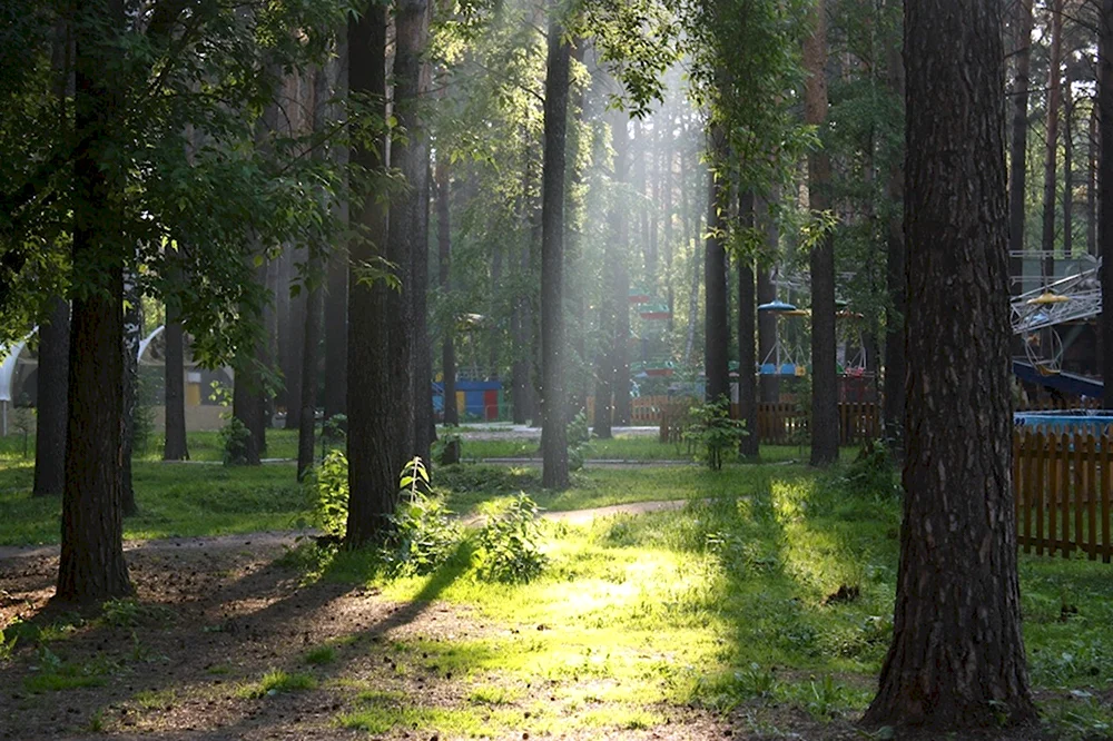 Сосновый Бор парк Новосибирск