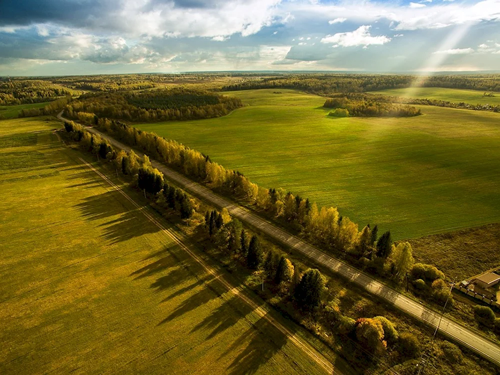 Степи Крыма лесополоса