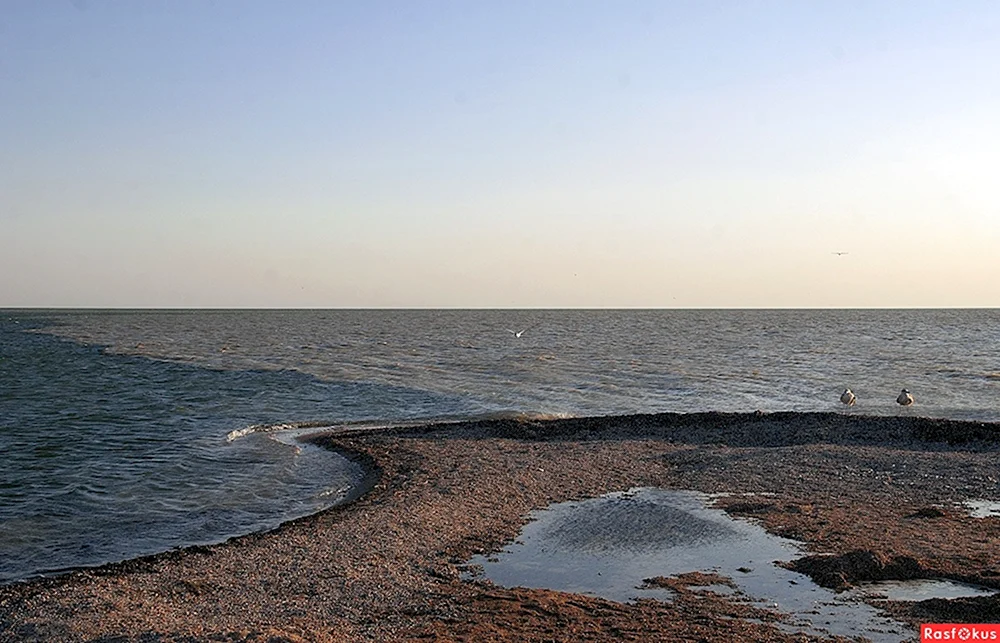 Таганрог залив Азовского моря