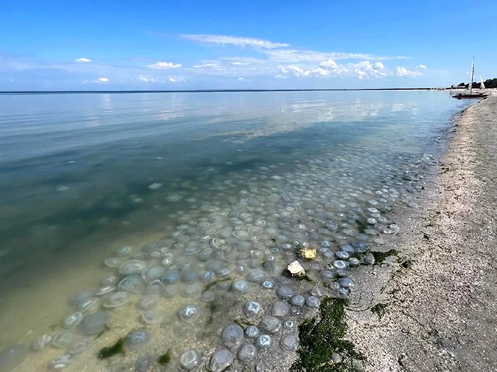 Таганрогский залив Азовского моря