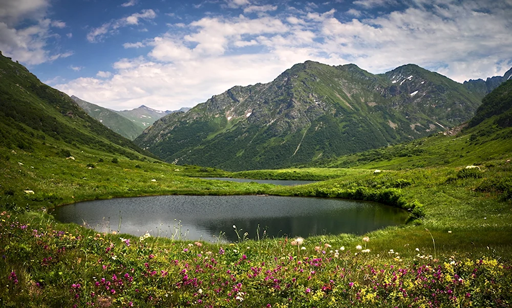 Тебердинский заповедник Альпийские Луга