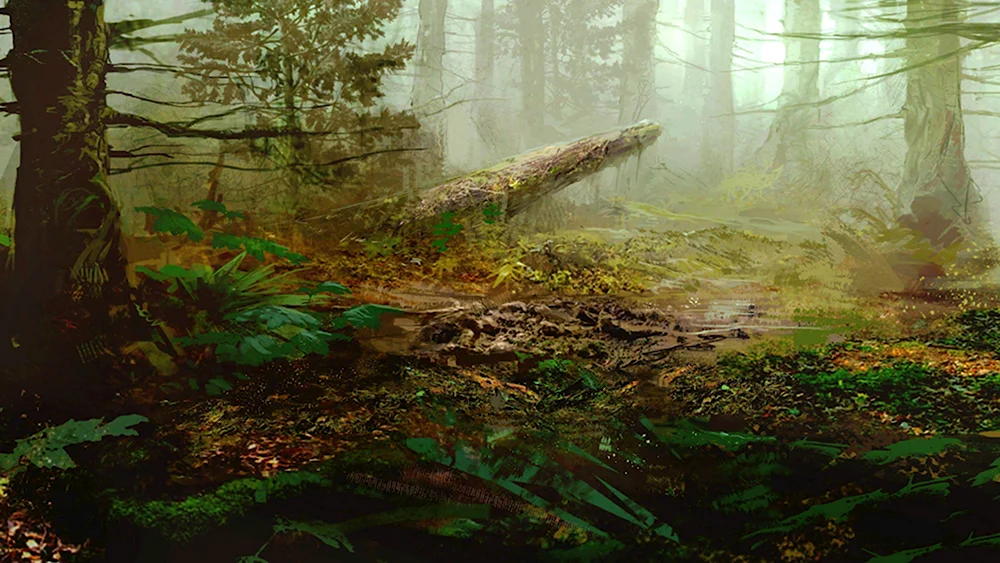 The Vanishing of Ethan Carter арт