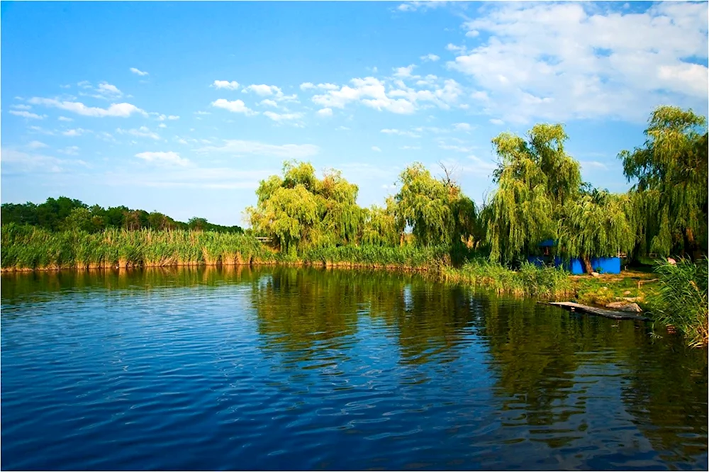 Тихорецкий район Краснодарский край