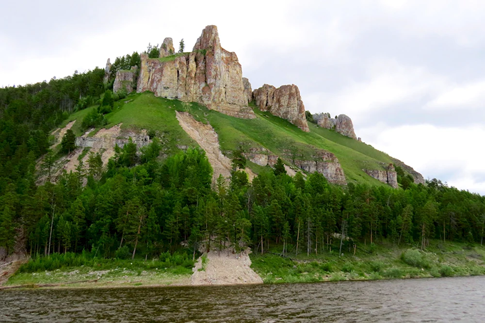 Верхоянская Тайга